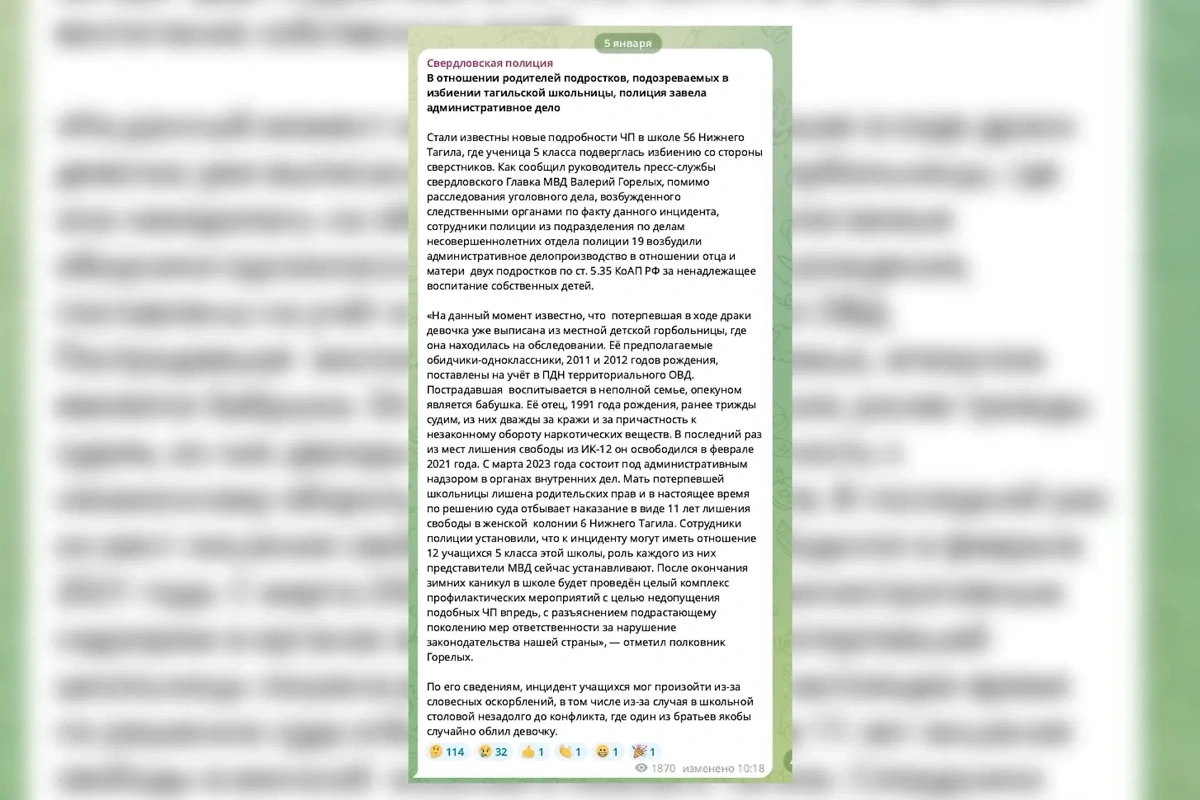 Комментарий главы пресс-службы областного МВД. Фото © Telegram / gumvdso