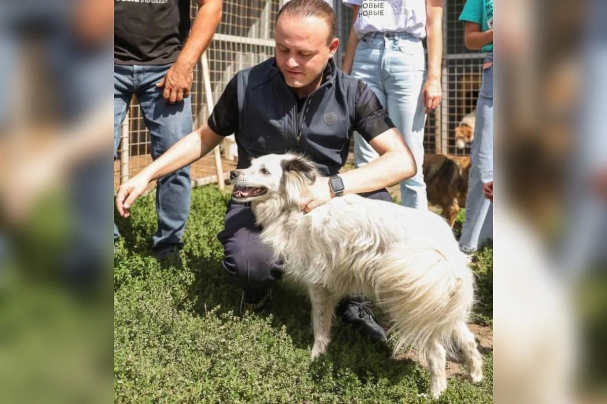 Вице-спикер Госдумы от "Новых людей" Владислав Даванков с собакой. Фото © Telegram / МЫ В ОТВЕТЕ ЗА НИХ!