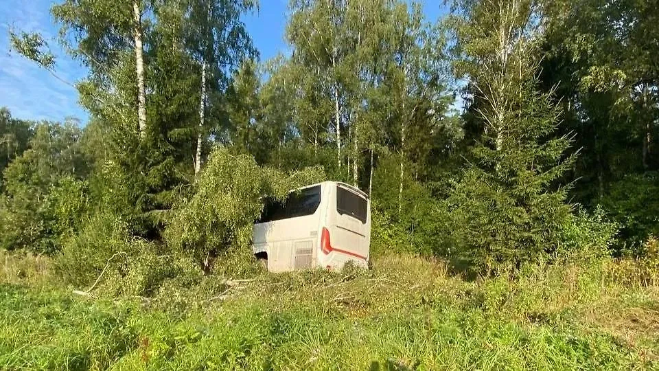 В результате ДТП в Белоруссии пострадали три человека. Фото © Telegram / МВД Беларуси