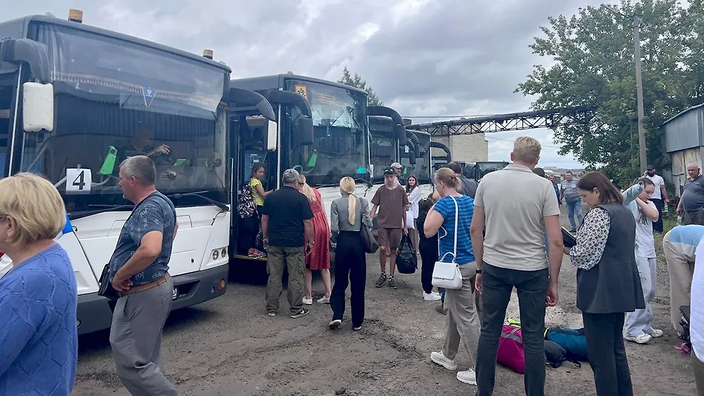 В Подмосковье отправлены первые автобусы из Курской области, из региона эвакуируют 100 детей и 30 взрослых. Обложка © Telegram / vorobiev_live