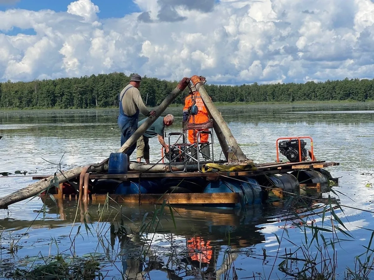 Работы на месте обнаружения самолёта в Псковской области. Фото © VK / ПО ВППОО "След "Пантеры"