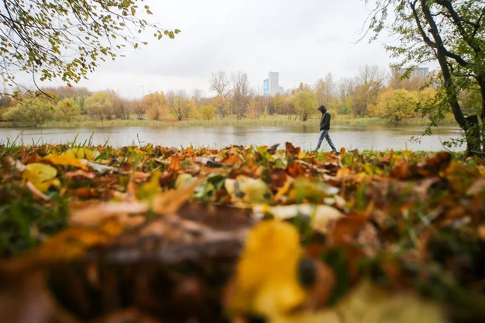 Бабье лето в Москве. Обложка © АГН «Москва» / Сергей Ведяшкин