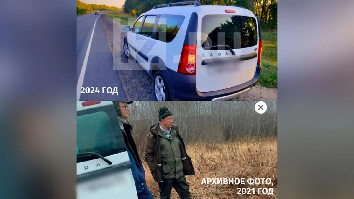 Сравнения автомобиля, дважды сбившего лося за четыре года. Обложка © Telegram / IZ.RU