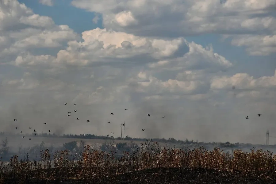 Пожары в Николаевской области Украины. Фото © Государственная служба Украины по чрезвычайным ситуациям