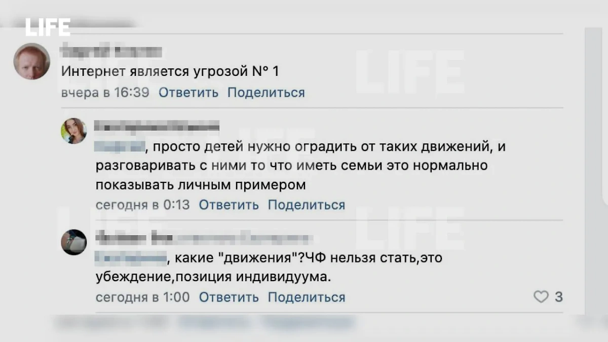 Комментатор призывает оградить детей от чайлдфри. Скриншот © Life.ru 