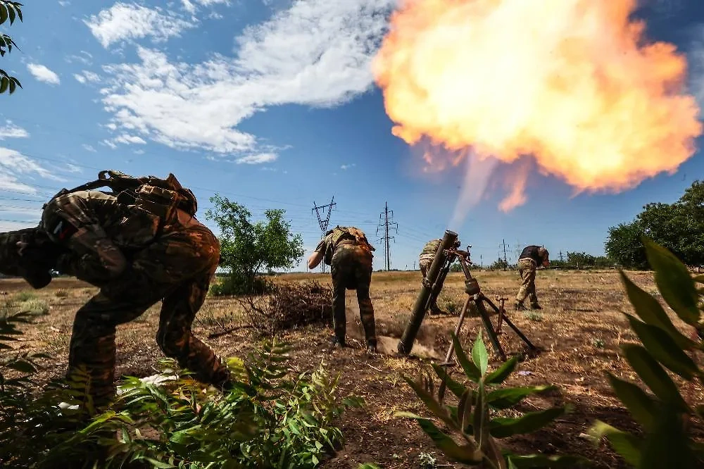 Боевые действия в зоне СВО. Обложка © ТАСС / Александр Полегенько