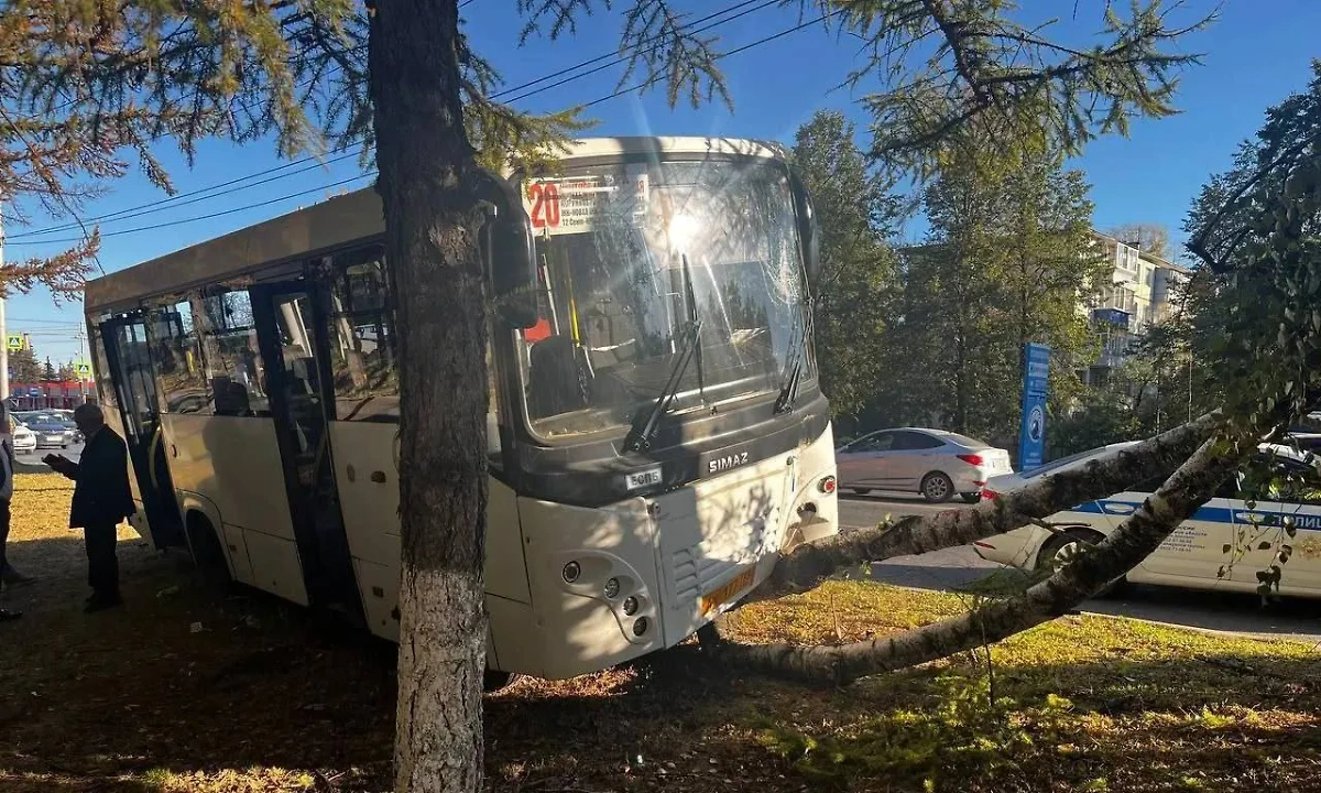 Авария с автобусом в Ульяновске. Обложка © Telegram / Короче, Ульяновск