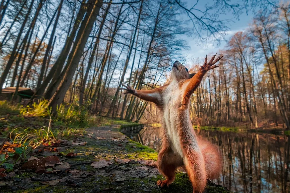  кого можно встретить. Фото © Shutterstock / FOTODOM / Mny-Jhee