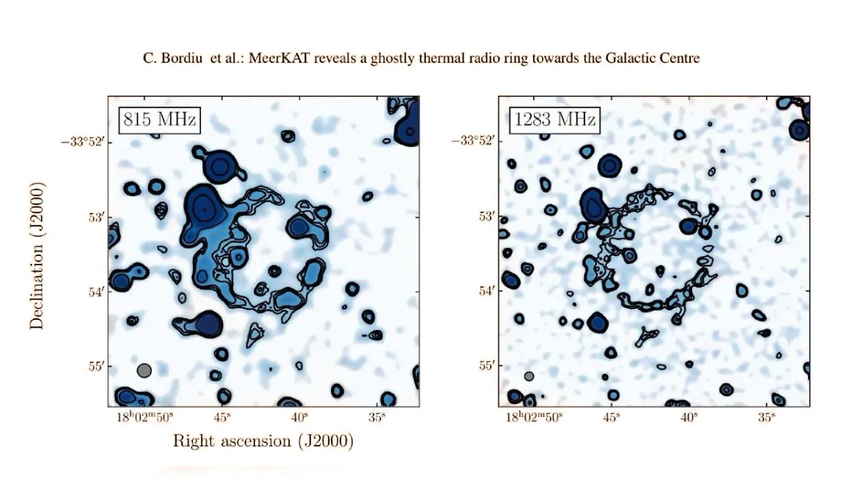 Изображение объекта J1802–3353 (Kyklos) по данным обсерватории MeerKAT. Фото © Arxiv.org