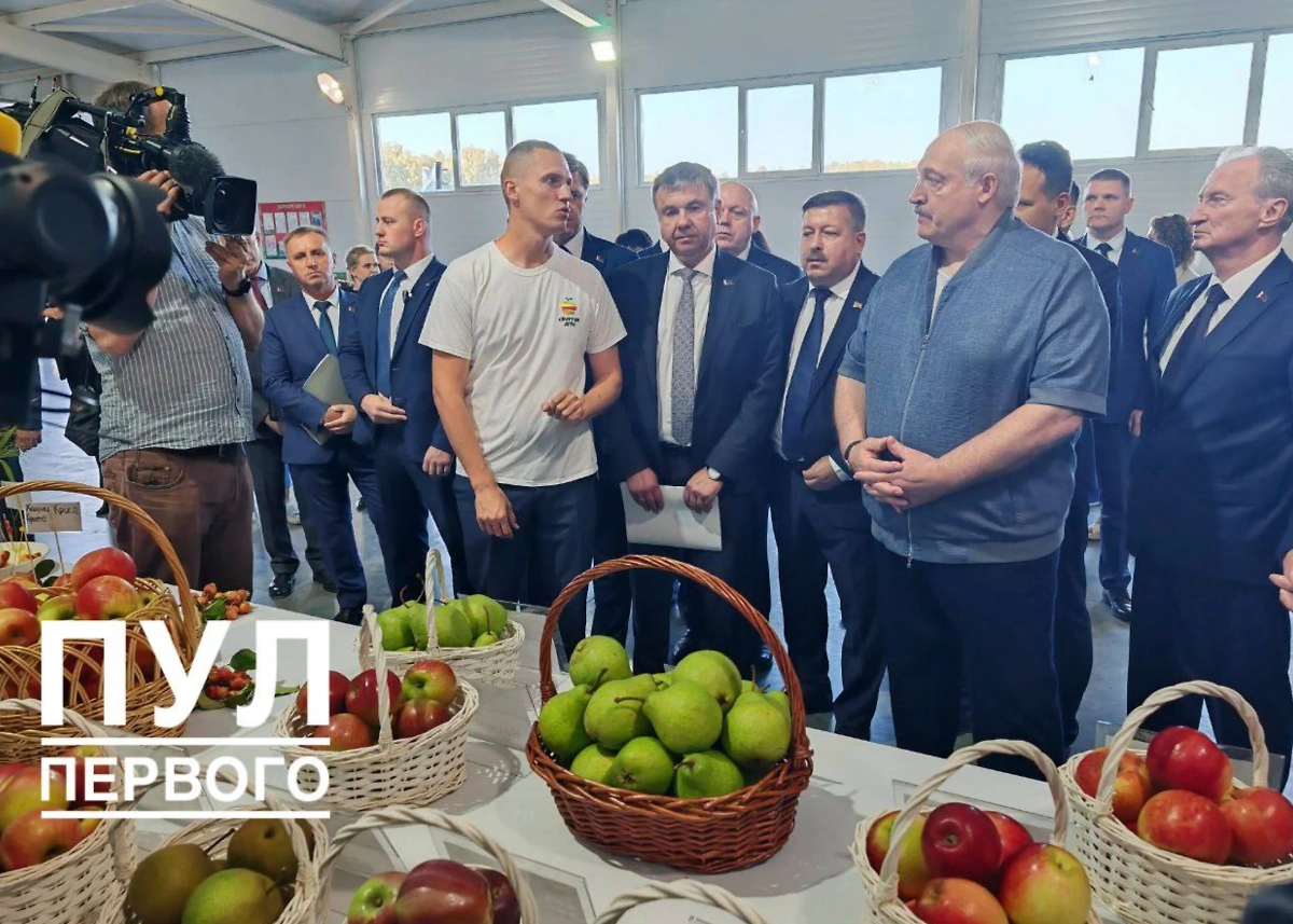 Лукашенко на фермерском хозяйстве «Спартан-Агро». Видео © Telegram / Пул Первого Видео © Telegram / Пул Первого