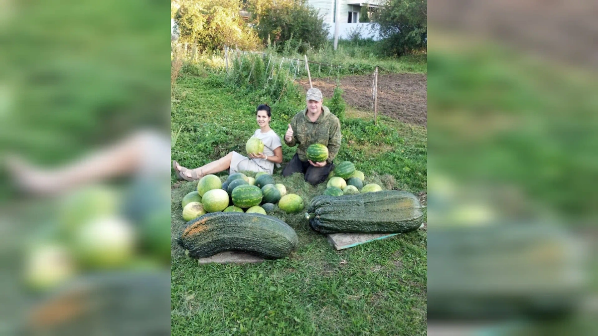 Урожай Андрея Гусева. Фото © VK / Андрей Гусев