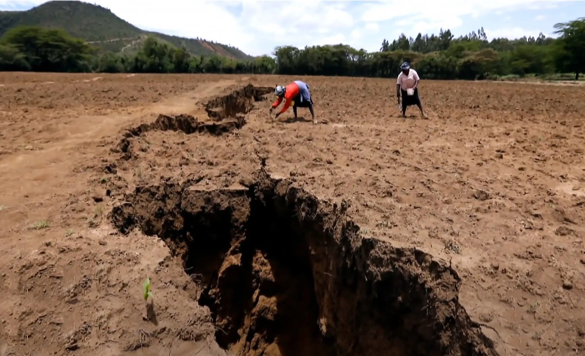 Восточно-Африканский тектонический разлом. Фото © Youtube / CBS News