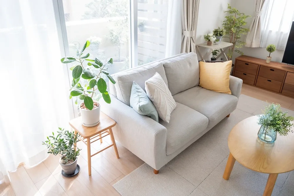 Как обустроить квартиру по всем канонам модных интерьерных трендов 2024 года. Фото © Shutterstock