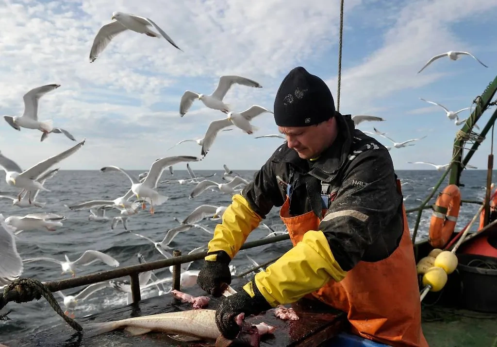 Морская рыбалка в Мурманской области. Обложка © ТАСС / Лев Федосеев