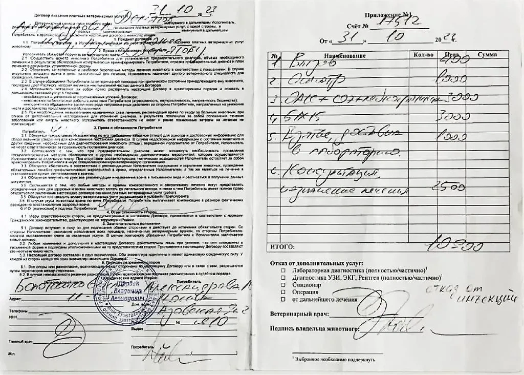 "Аист-Вет" насчитал услуг на 10 900 рублей. Фото © "SHOT Проверка"