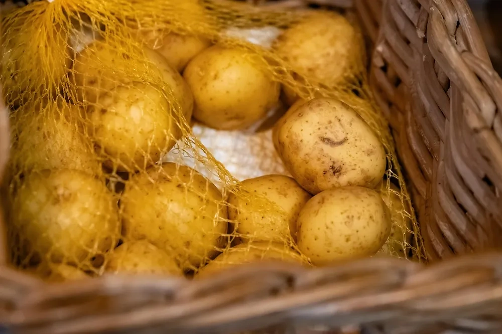 Хранение картофеля в доме чревато появлением запаха плесени. Фото © Shutterstock
