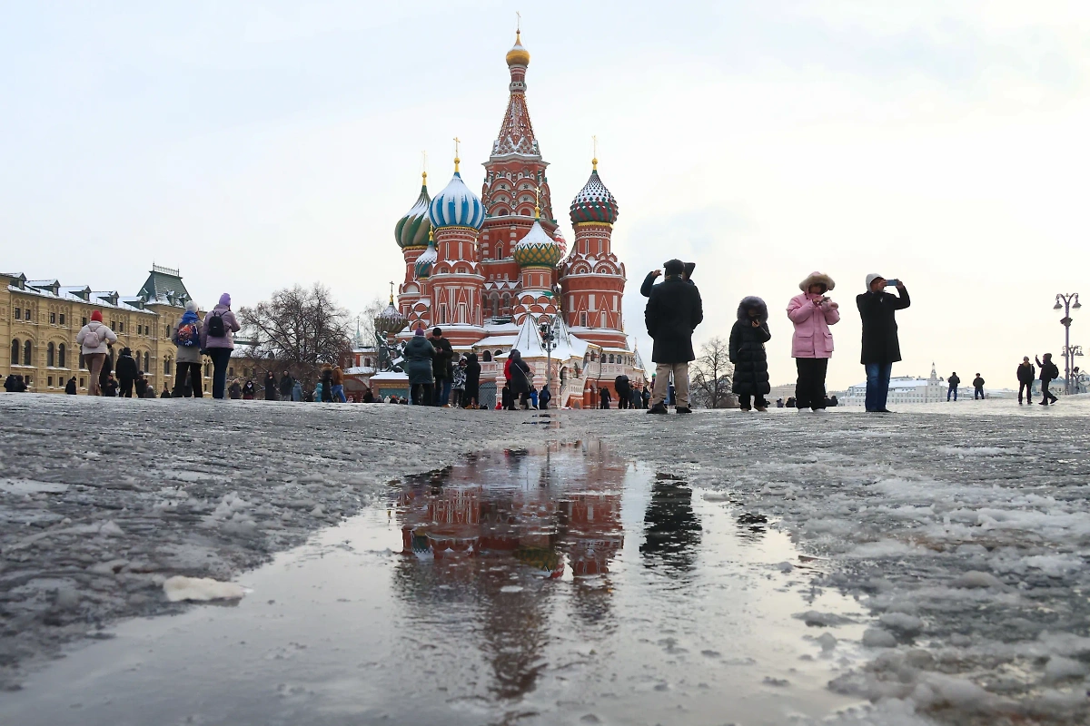 Москву ожидает потепление. Обложка © ТАСС / Валерий Шарифулин