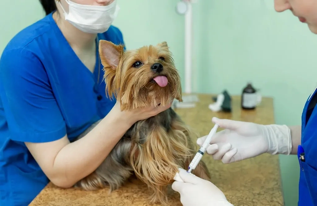 Вообще, прохождение всех специалистов — принцип крупных клиник. Фото © Shutterstock