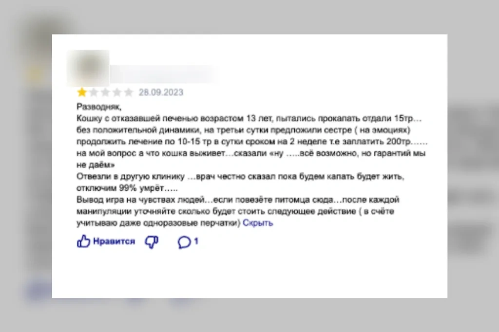 черноморец сергей анатольевич ветеринар. альтернатива ветклиника железнодорожный керамическая. ново-садовая 224а самара ветклиника. алттернативаветклиника самара.