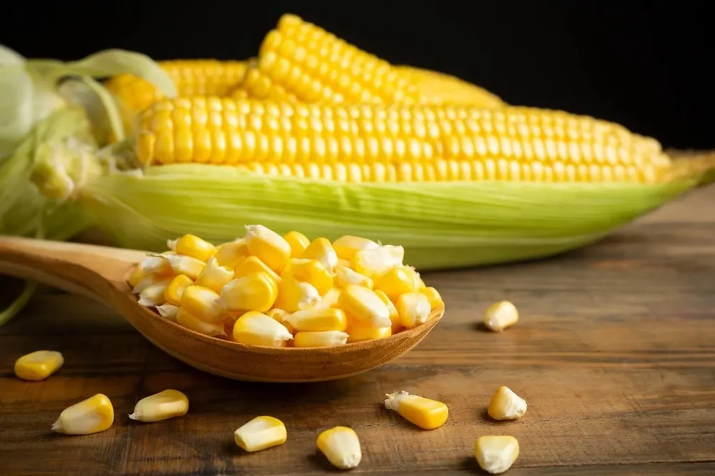 Почему кукурузу не советуют есть перед встречами. Фото © Freepik / jcomp 