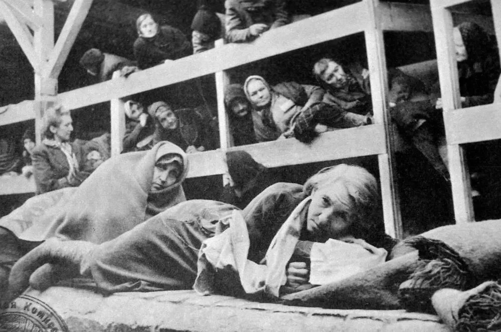Женщины – узницы фашистского концентрационного лагеря Аушвиц. Фото © ТАСС 