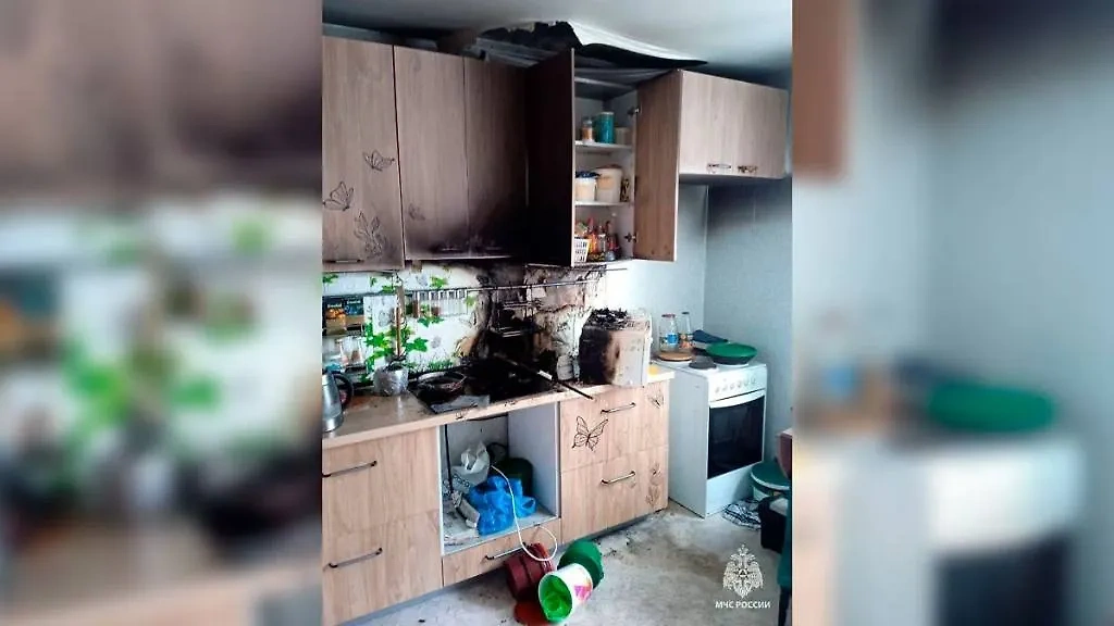 Квартира в Уфе, где произошёл пожар из-за пяти голодных кошек. Фото © Telegram / МЧС России