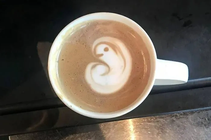 Все виды кофе. Холодный кофе. Какое кофе пьют холодным. Какое кофе пьют холодным. Холодный кофе.