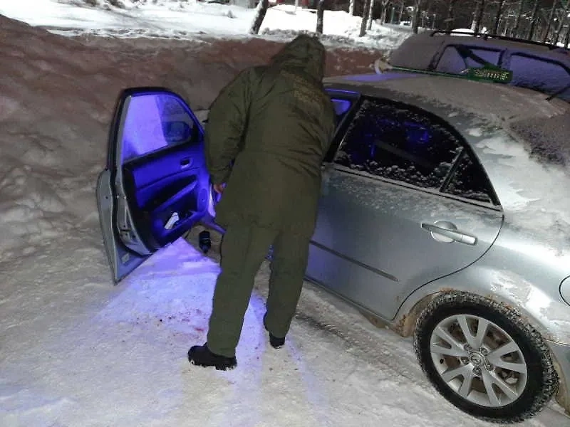 Машина, возле которой нашли тела убитых. Обложка © Telegram / СУ СК России по Республике Мордовия