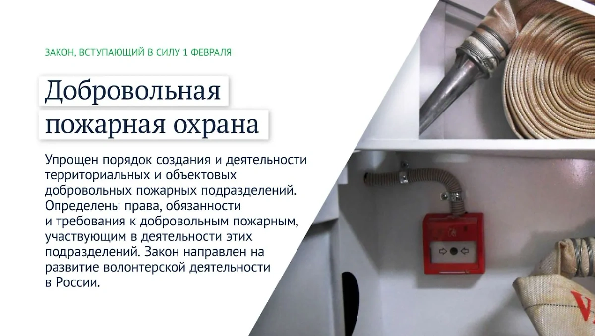 С 1 февраля вступит в силу закон о добровольной пожарной охране. Фото © Telegram / Государственная дума
