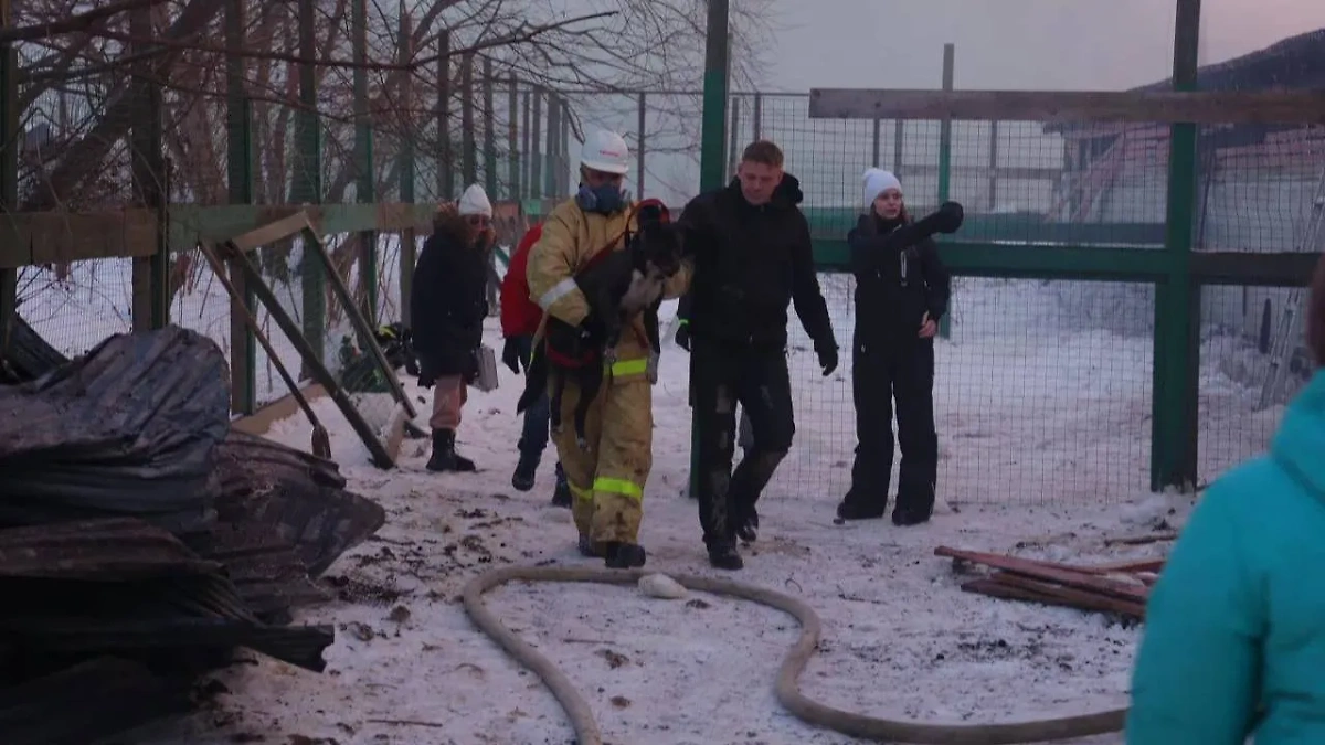 В Южно-Сахалинске спасатели ликвидируют пожар в приюте бездомных животных. Фото © Telegram / "Официальный Южный"