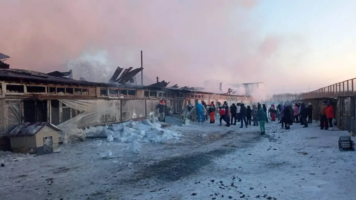 В Южно-Сахалинске спасатели ликвидируют пожар в приюте бездомных животных. Фото © Telegram / "Официальный Южный"