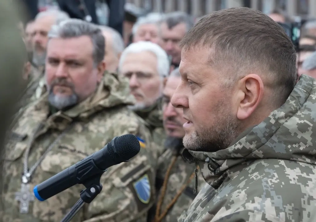 Главнокомандующий Вооружёнными силами Украины Валерий Залужный. Фото © Shutterstock