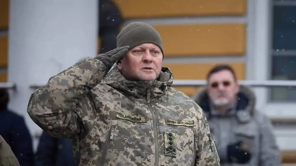 Главнокомандующий украинской армией Валерий Залужный. Обложка © ТАСС / ZUMA