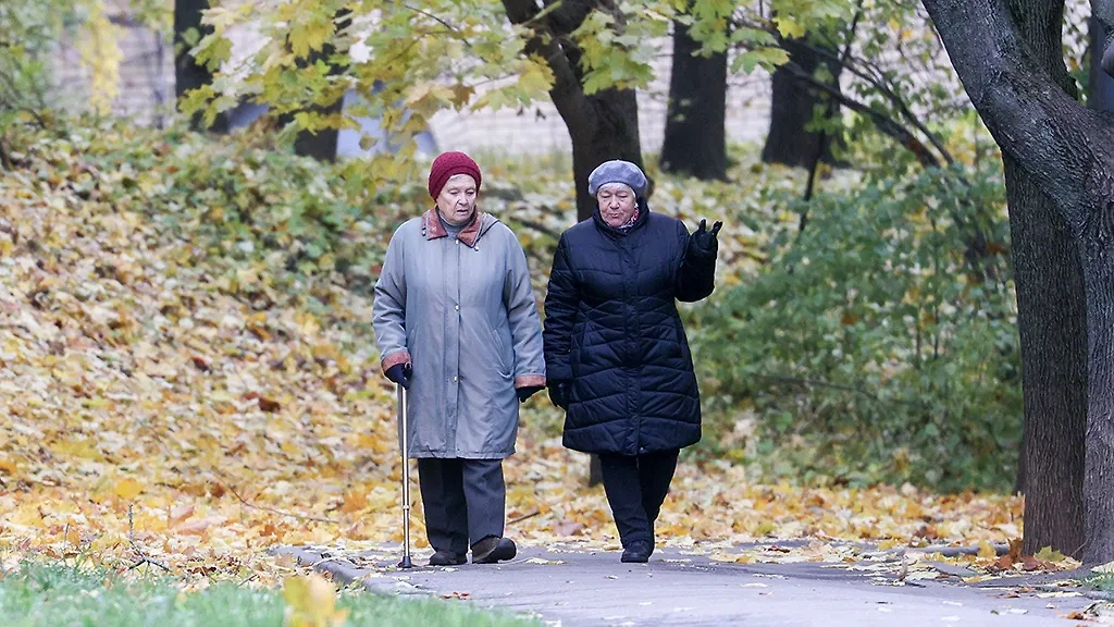 С 1 ноября сделают прибавку к социальным выплатам. Обложка © ТАСС / Сергей Булкин