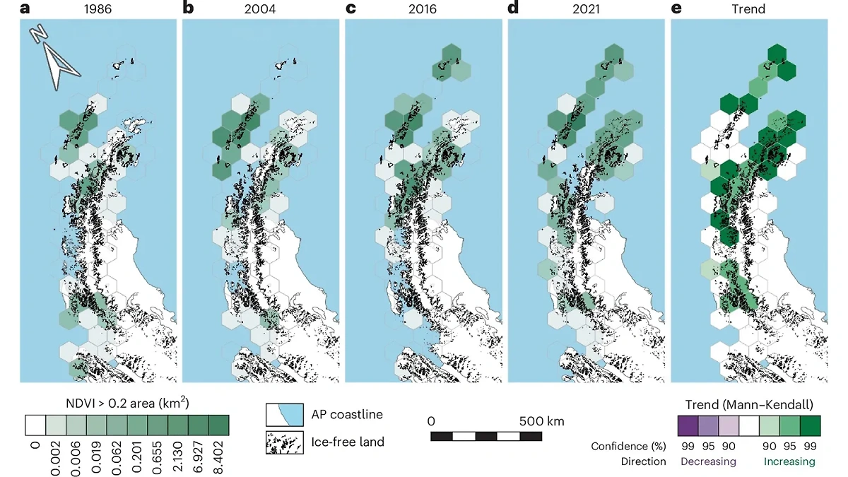 Картина изменений площади растительного покрова на Антарктическом полуострове с 1986 года. Фото © Nature geoscience