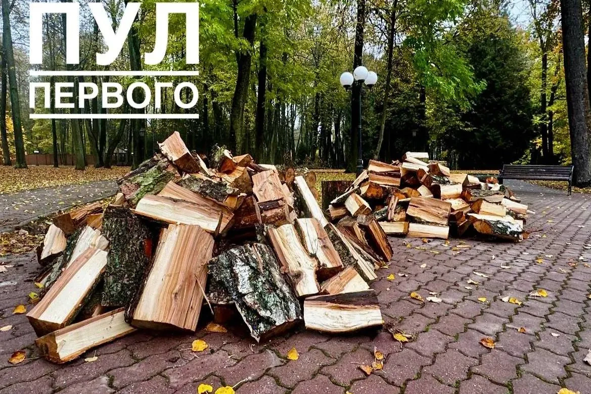 Дрова, которые наколол Лукашенко перед вылетом в Москву. Фото © Telegram / Пул Первого