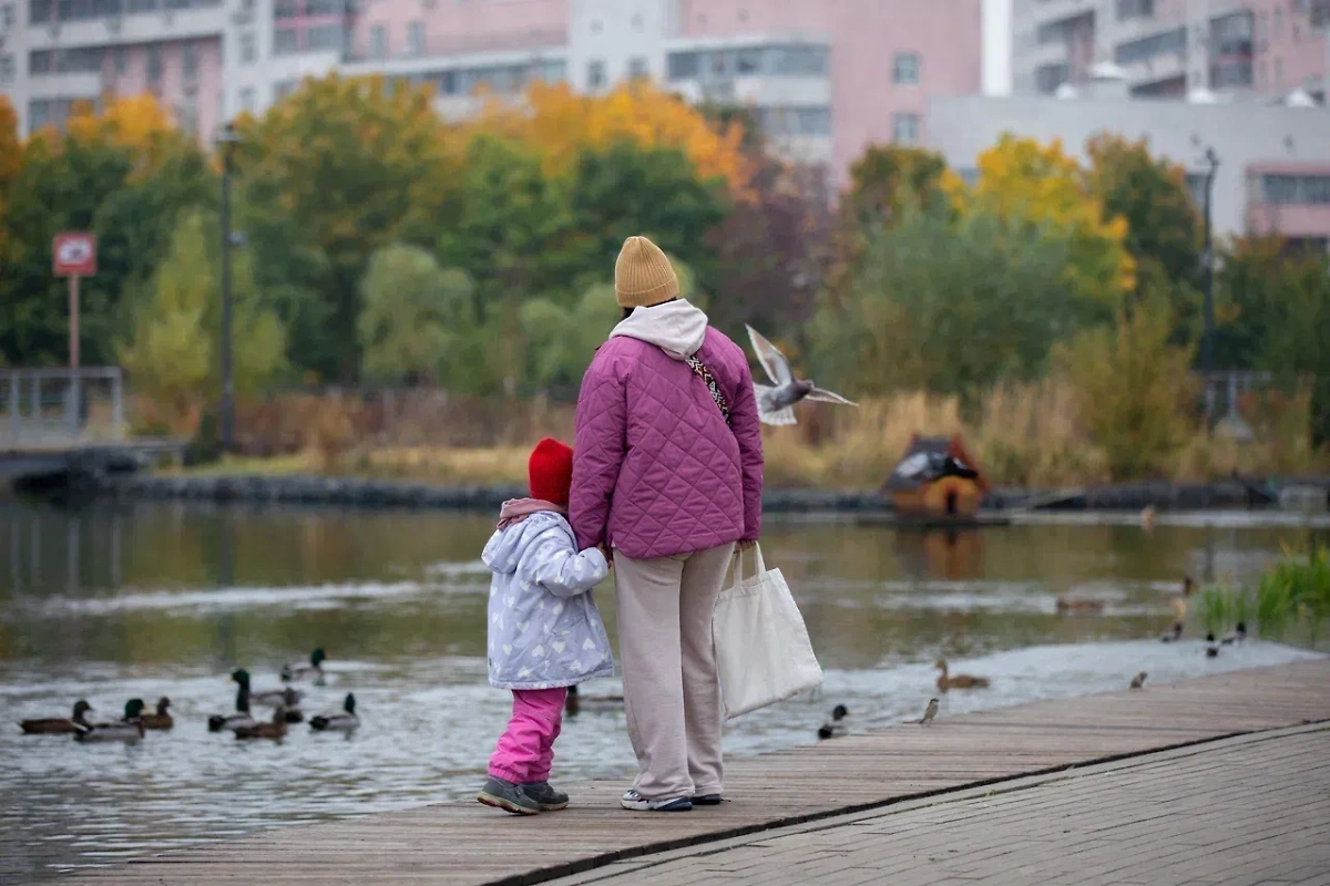 В Москву пришла прохладная погода осени. Обложка © Life.ru