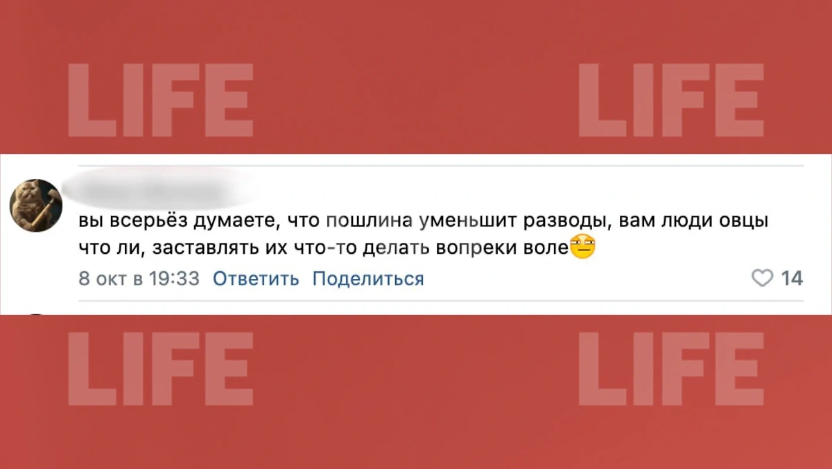 Читатель Life.ru оценил повышение госпошлин на развод. Фото © Life.ru