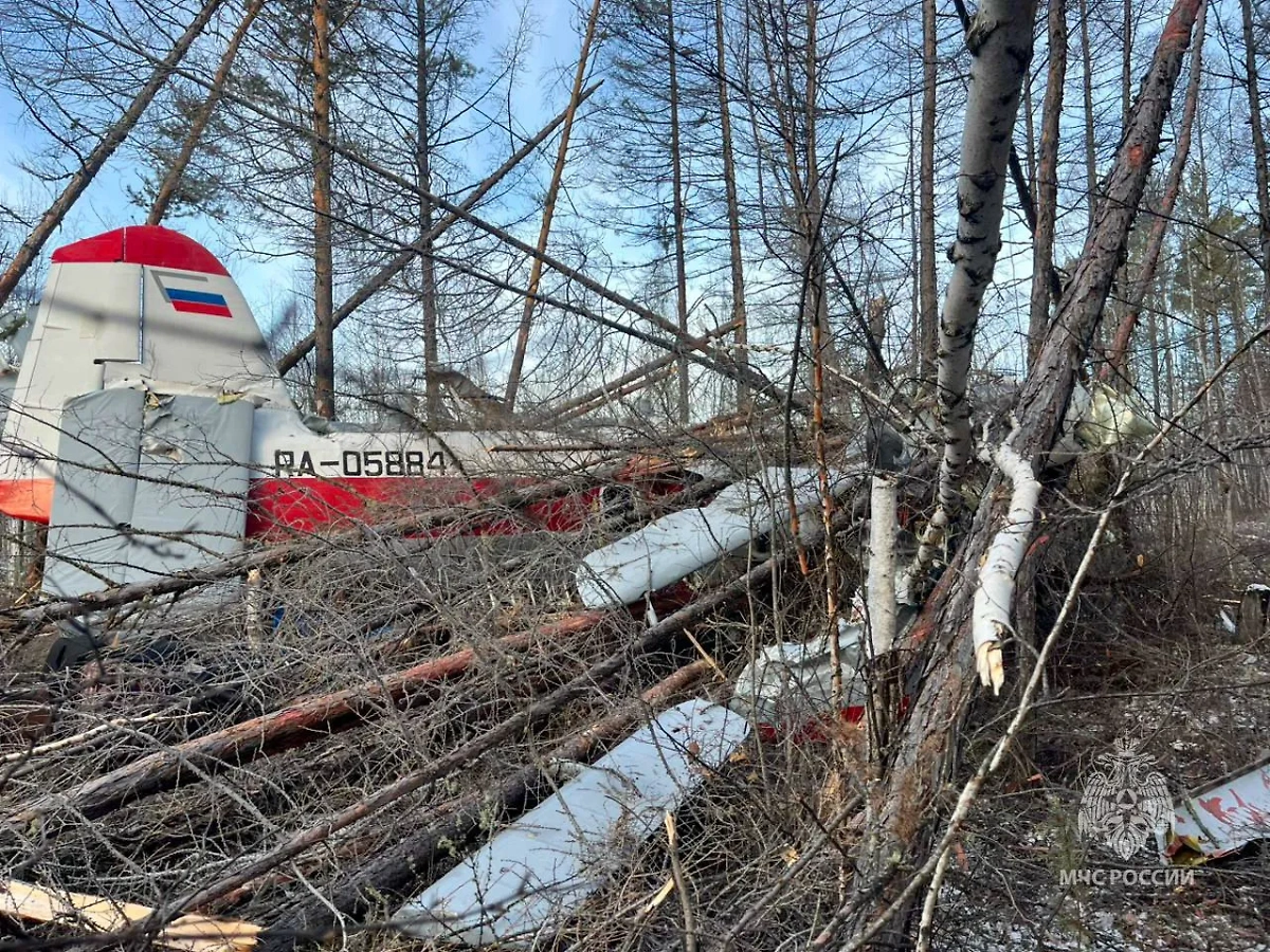 При аварийной посадке самолёта  Ан-3 в Якутии погиб пассажир. Обложка © МЧС Республики Саха (Якутия)