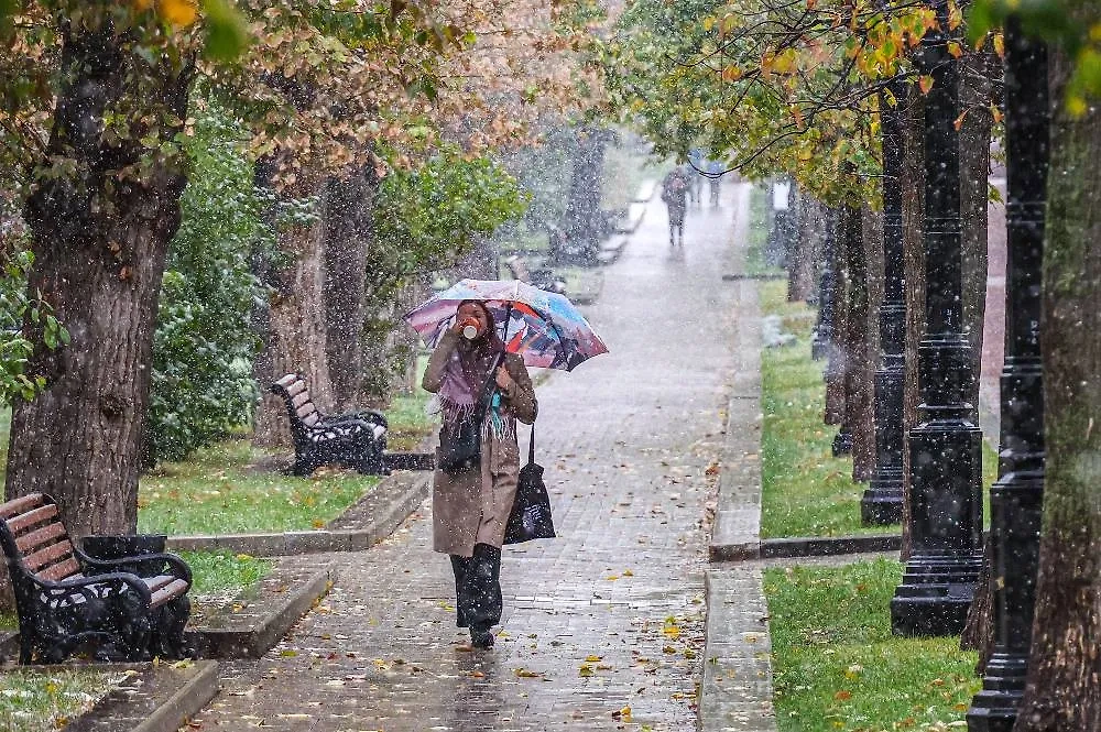 Погода в Москве в октябре. Обложка © ТАСС / Валерий Шарифулин