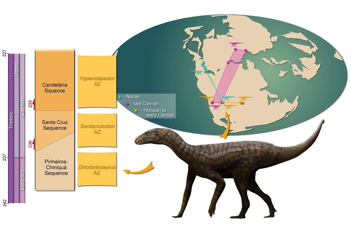 Предполагаемый облик найденного в Бразилии Gondwanax paraisensis. Фото © sciencedirect