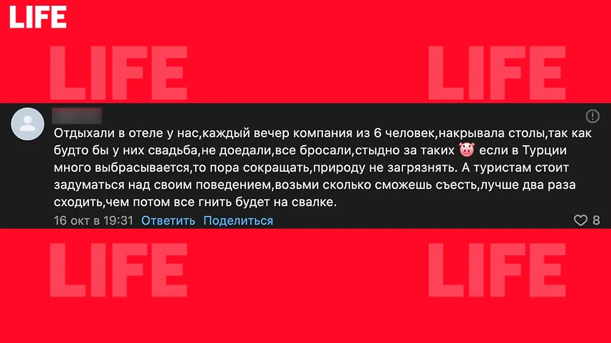 Мнение одного из комментаторов. Скриншот © Life.ru