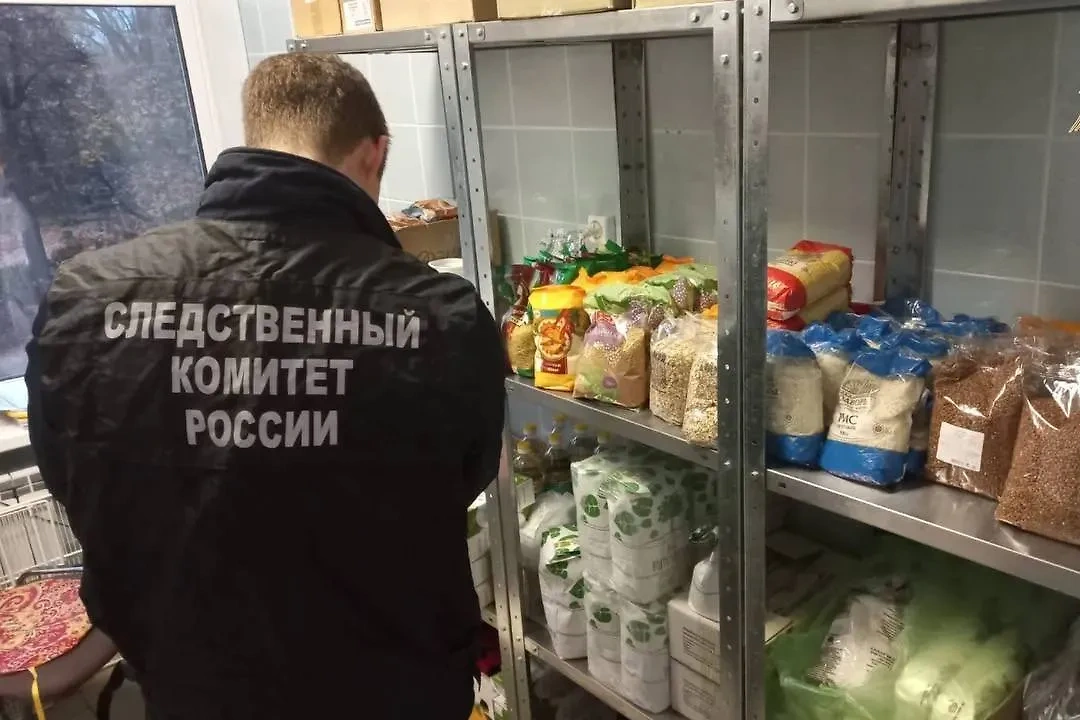 Сотрудник СК осматривает склад хранения продуктов в детском саду № 23 в петербургском Павловске. Обложка © Telegram / ГСУ СК России по Санкт-Петербургу