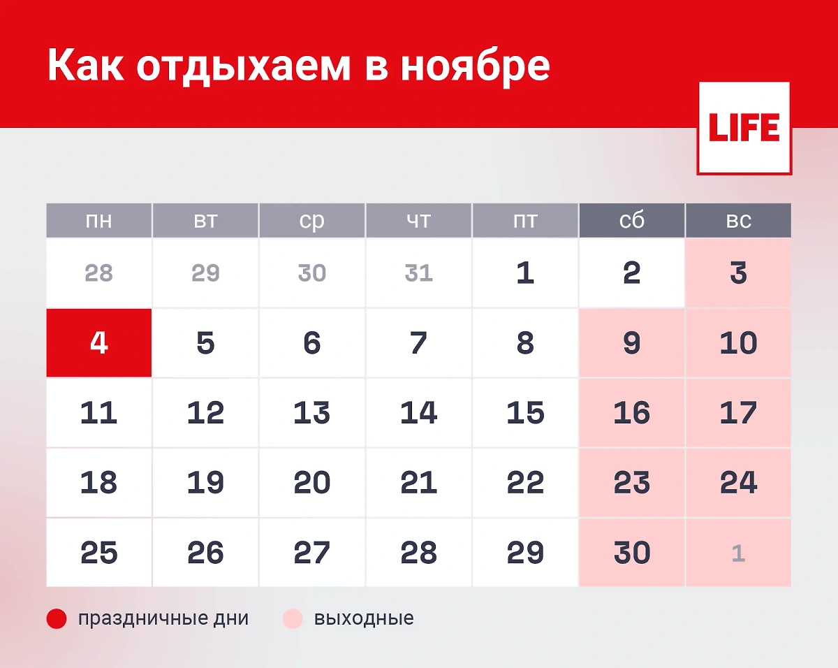 Праздничные дни в ноябре 2024 года. Инфографика © Life.ru. 