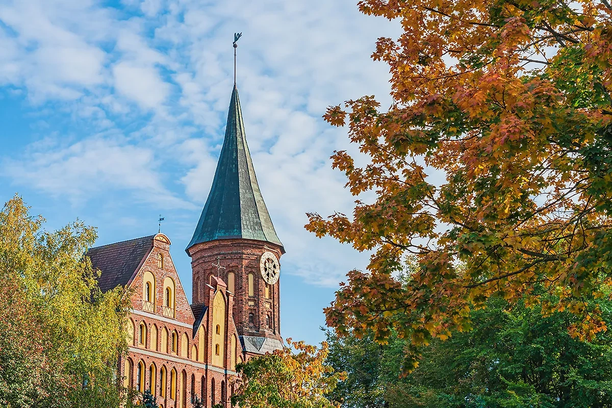 Калининград. Обложка © Shutterstock / FOTODOM / Makar Mosin