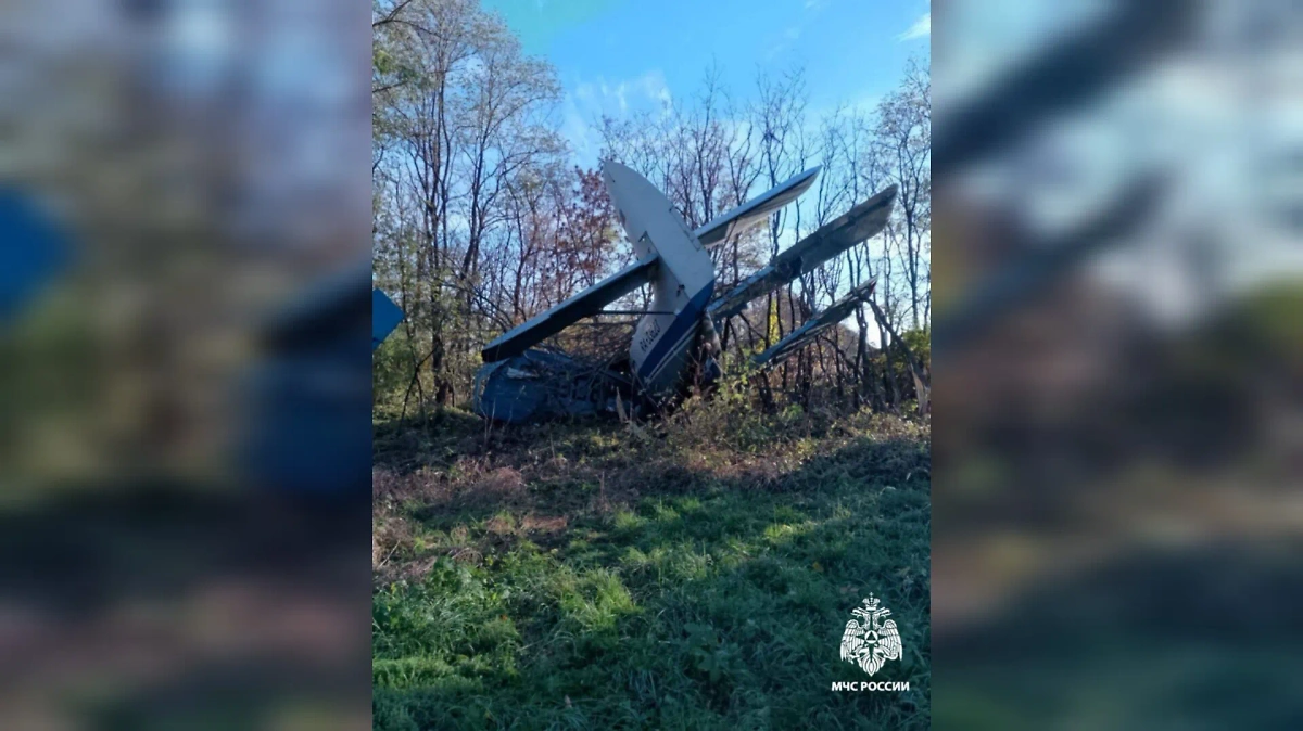 В результате жёсткой посадки самолёта пострадало 4 человека, погибших нет. Видео © Telegram / МЧС России