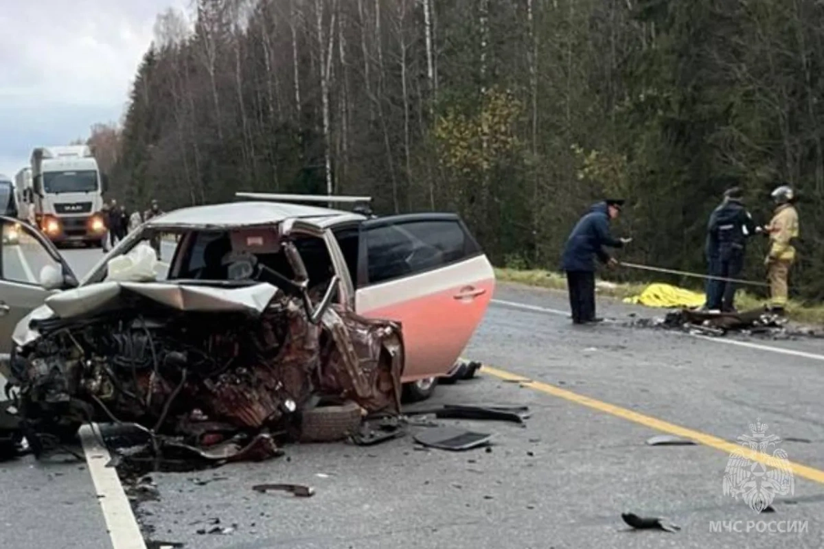 На трассе Иваново-Родники столкнулись Chevrolet и Hyundai. Фото © Telegram / «МЧС Ивановской области»