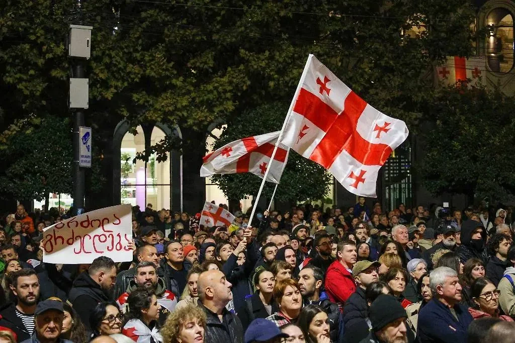 Протесты в Тбилиси. Обложка © ТАСС / Патрин Александр