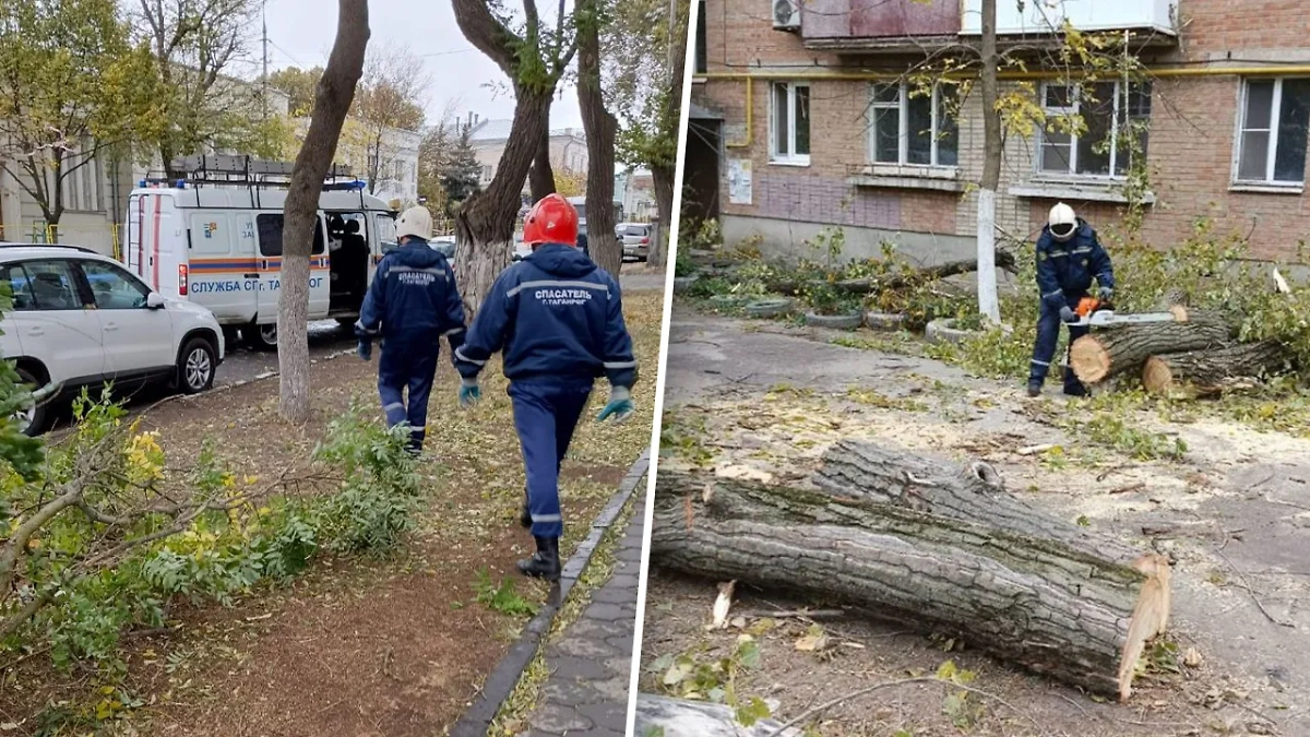 Специалисты устраняют последствия непогоды в Таганроге. Фото © Telegram / Светлана Камбулова