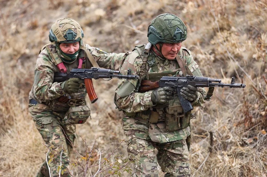 Боевые действия на фронтах СВО. Обложка © ТАСС / Александр Река